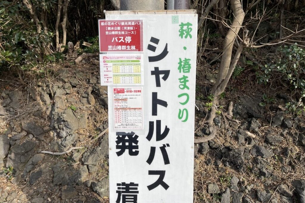 笠山椿群生林 乗降場所2