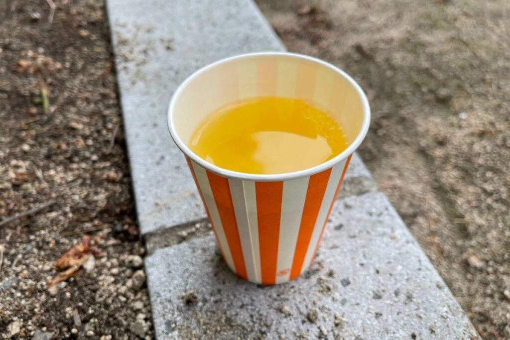 岸田商会 夏みかんジュース(100円)