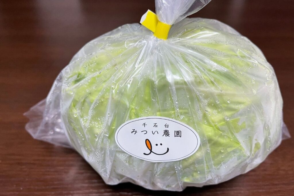 みつい農園 きゃべつ(160円)