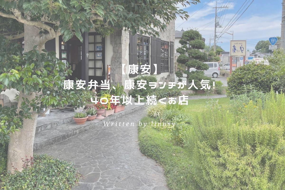 康安