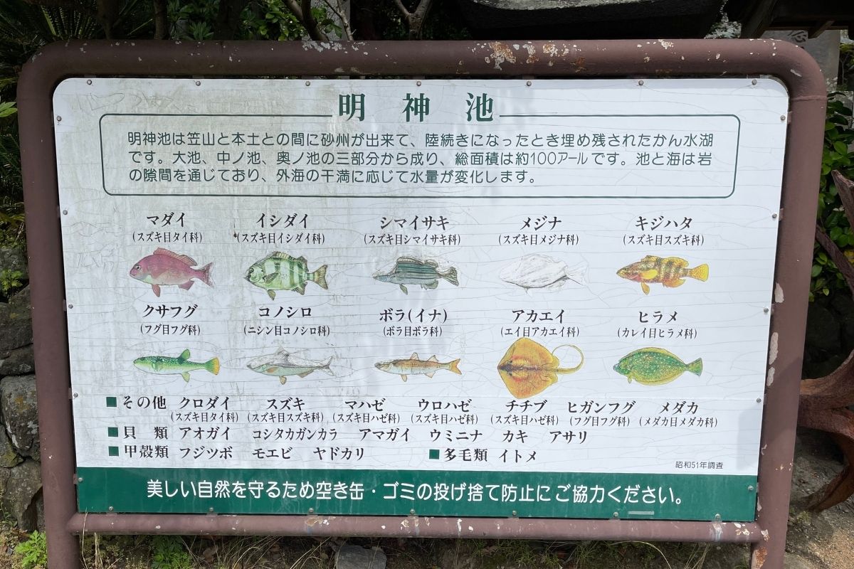 明神池 魚種
