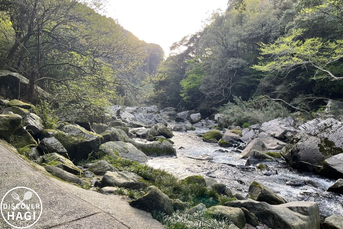 雄川の滝 遊歩道1