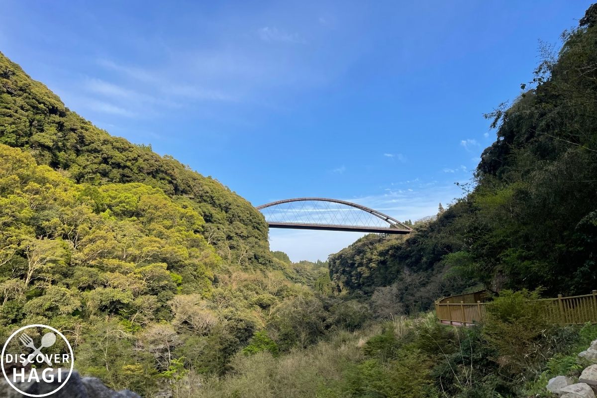 雄川の滝 遊歩道3