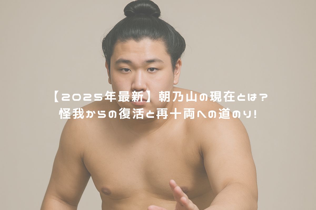 【2025年最新】朝乃山の現在とは？怪我からの復活と再十両への道のり！ アイキャッチ