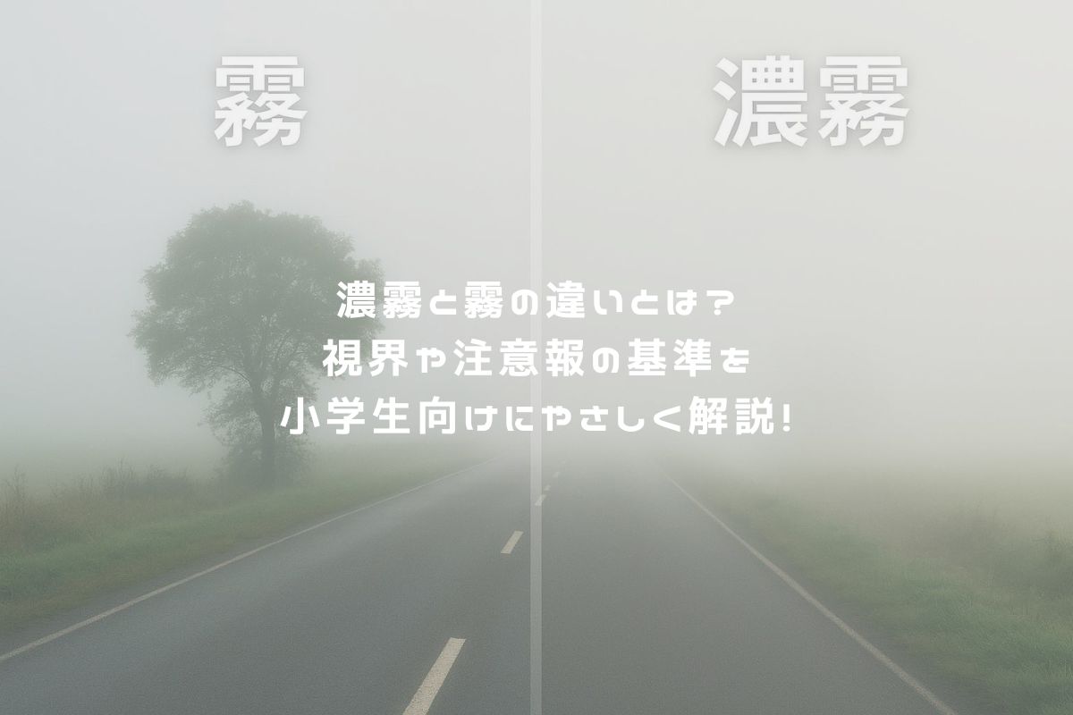 濃霧と霧の違いとは？視界や注意報の基準を小学生向けにやさしく解説！ アイキャッチ
